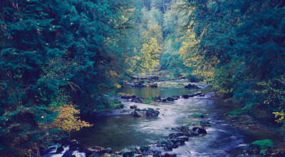 reskon_fluss